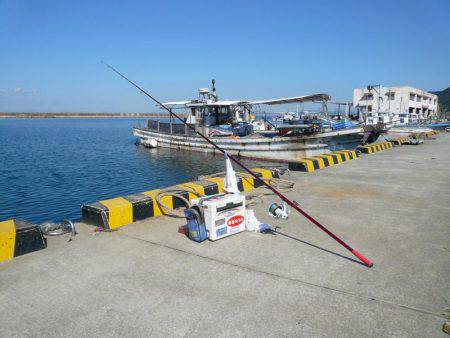 今回も富島漁港でキス狙い