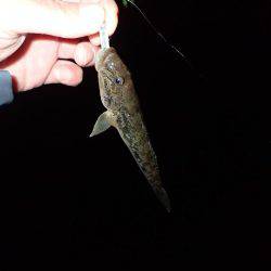 ボトムアジング！