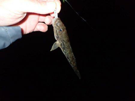 ボトムアジング！