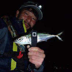 ボトムアジング！