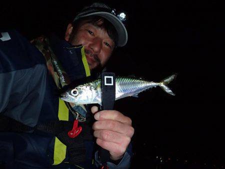 ボトムアジング！