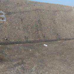 イレブンスリー