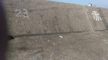 イレブンスリー