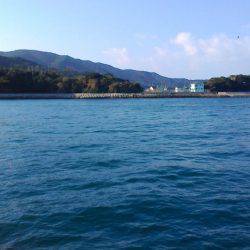 飽きない程度に釣れてる