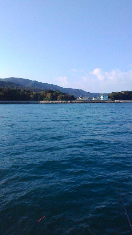 飽きない程度に釣れてる