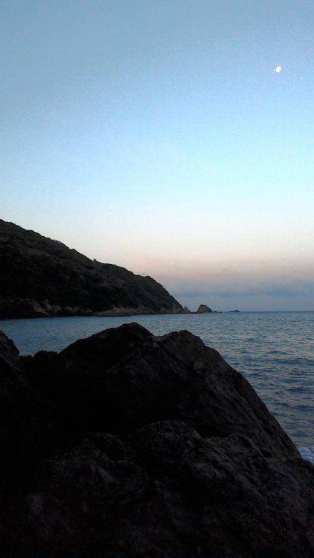 思ったより釣れない