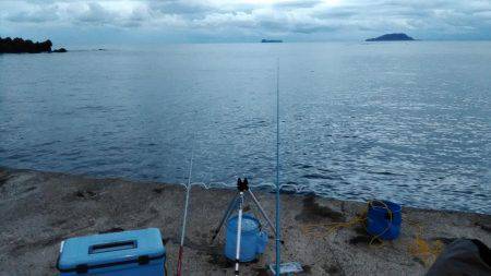 エギングとサビキとヤエン