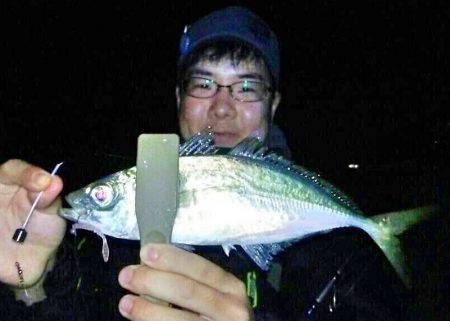 アジング&メバリング