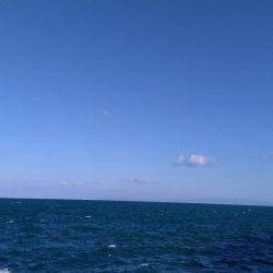 鯵はこのところの水温低下で低活性＋結構スレてきているご様子。