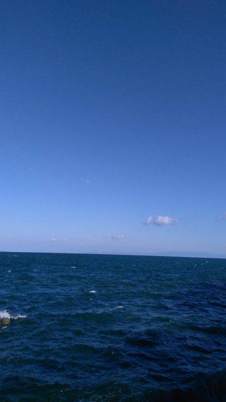 鯵はこのところの水温低下で低活性＋結構スレてきているご様子。