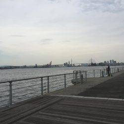 朝マズメ太刀魚