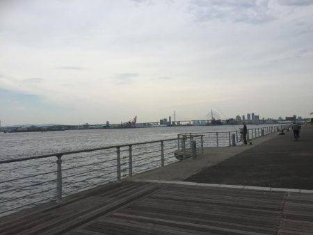 朝マズメ太刀魚