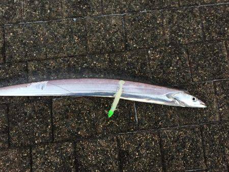 岸和田春木ベランダ刀狩り