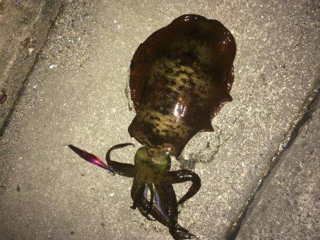 久しぶりのキロアップ