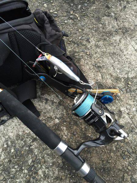 マズメにボイル無し