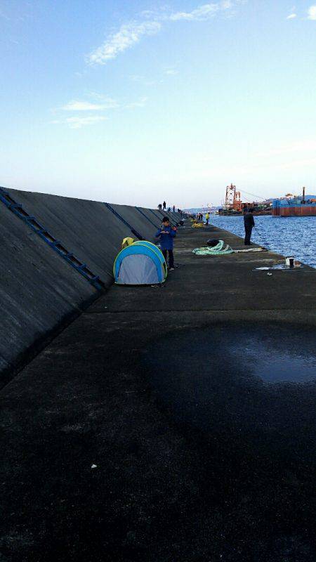 武庫川一文字の朝タチ