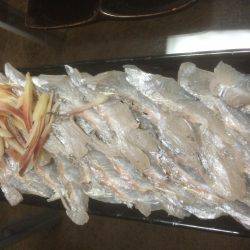 久々のドラゴン