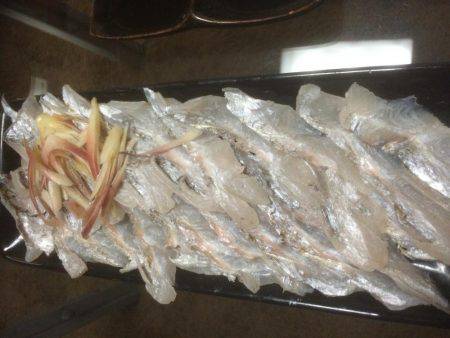 久々のドラゴン