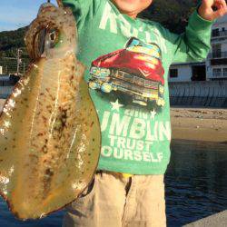 真昼間の短時間で入れ食いでした