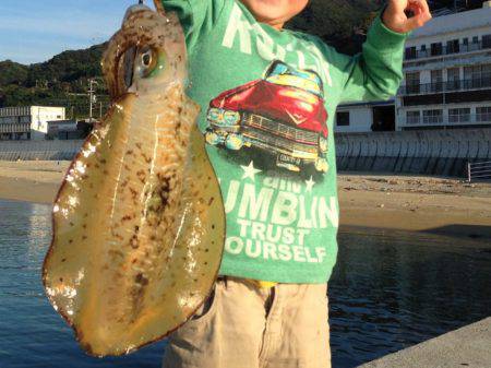 真昼間の短時間で入れ食いでした