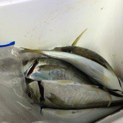 先週 爆風のリベンジ(^^)