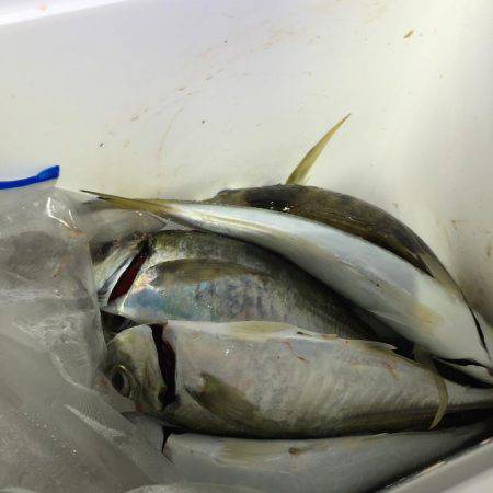 先週 爆風のリベンジ(^^)