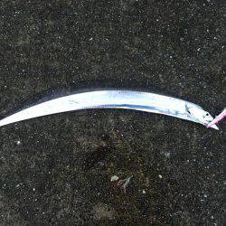 ポーアイ沖堤釣行