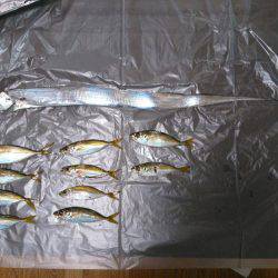 ゲキシブアジング