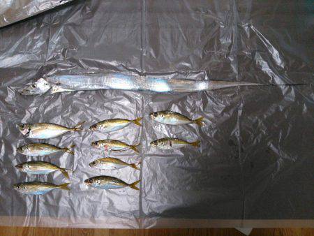 ゲキシブアジング