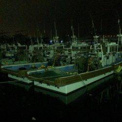 地震後のアジング調査！