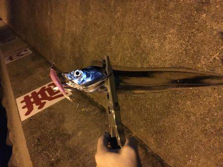 アジングのはずが