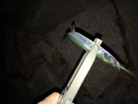 ライトゲーム&ロックフィッシュゲーム