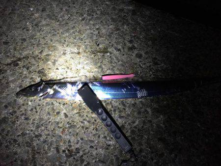 最近好調の芦屋浜に