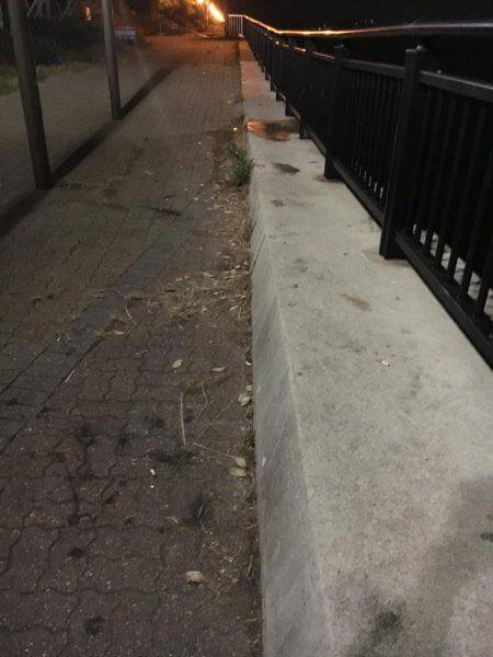 ガシラもいいですや