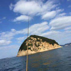 鯛、ハマチ、鯵