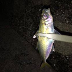 ライトゲーム！