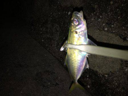 ライトゲーム！