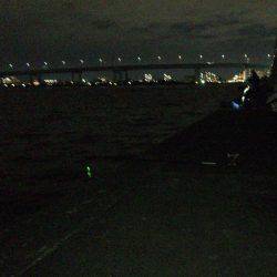 鳴尾浜で半夜釣り