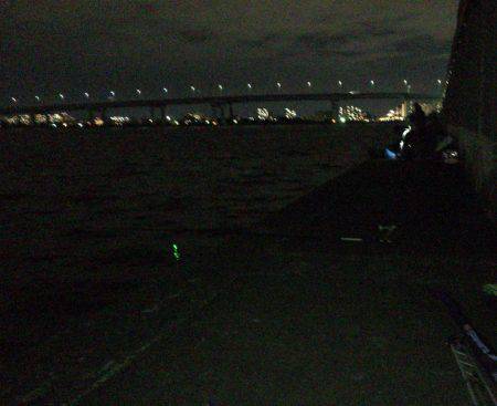 鳴尾浜で半夜釣り