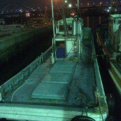 初めての船太刀魚