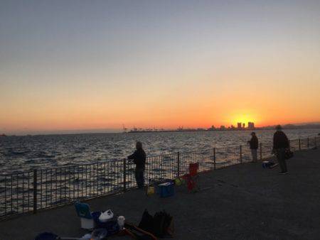 南芦屋浜タチウオ