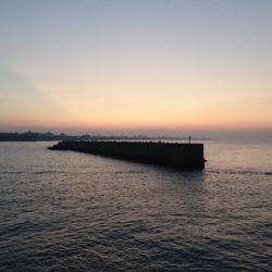 食べごろサイズのアオリイカget♪