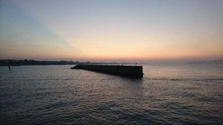 食べごろサイズのアオリイカget♪