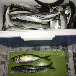 常夜灯リベンジ