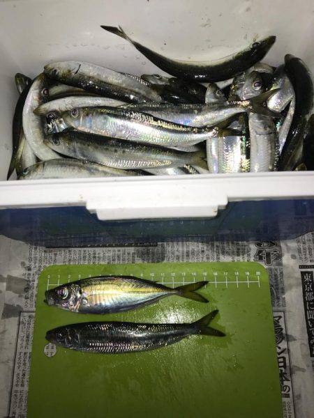 常夜灯リベンジ