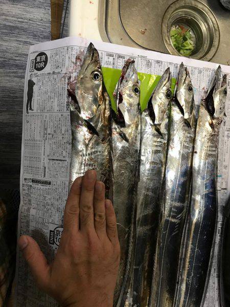 ミノータチウオ