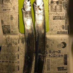 プラッキングタチウオ