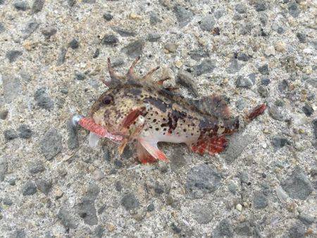 大阪南をランガン