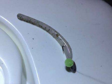 豆アジングで中サバ