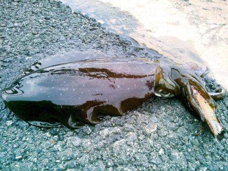 寒波がくる前に。